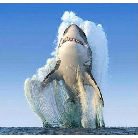 2019 Special Style Full Square Drill Shark 5d Diy Diamond Painting Kits UK NA00392