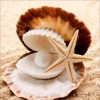 New Arrival Hot Sale Summer Beach Starfish 5d Diy Diamond Painting Kits UK VM9930