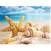 2019 New Hot Sale Sea Shell Starfish Beach 5d Diy Diamond Painting Kits UK VM9723