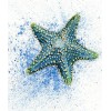 Cartoon Full Drill Starfish 5D DIY Embroidery Cross Stitch Diamond Painting Kits UK NA0824