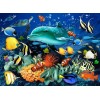 2019 Dream Square Diamond Colorful Dolphin 5d Diy Diamond Painting Kits UK VM7362