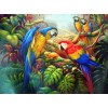 New Arrival Hot Sale Diy 5D Diamond Painting Cross Stitch Cartoon Bird Parrot Kits UK VM7711