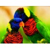 Hot Sale 2019 Parrot 5D Diy Cross Stitch Diamond Painting Kits UK NA0096