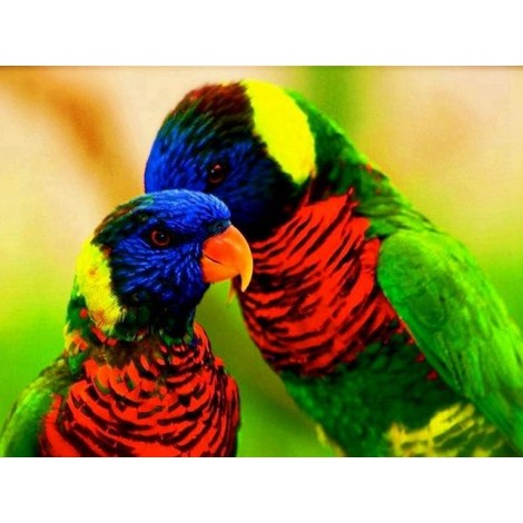 Hot Sale 2019 Parrot 5D Diy Cross Stitch Diamond Painting Kits UK NA0096