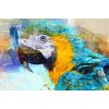 Oil Painting Style Full Square Drill Parrot 5D Diy Diamond Painting Kits UK NA0090
