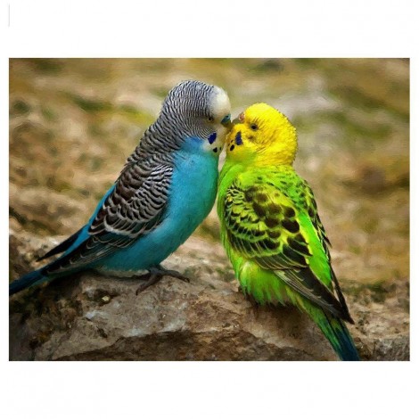For Beginners Parrots Resin 5d Diy Full Diamond Painting Kits UK VM9912