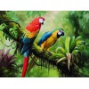 2019 Hot Sale Colorful Parrot 5d Diy Diamond Painting Kits UK VM9215