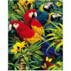 Hot Sale Full Square Drill Cute Parrot 5D Diy Diamond Painting Kits UK NA0087