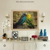 For Beginners Parrots Resin 5d Diy Full Diamond Painting Kits UK VM9912