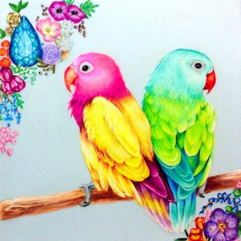 Special Full Square Drill Cute Parrot 5D Diy Embroidery Diamond Painting Kits UK NA0083