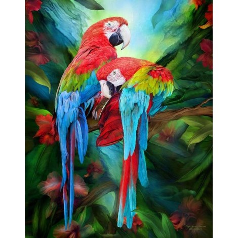 2019 Hot Sale Colorful Parrot 5d Diy Diamond Painting Kits UK VM9214