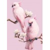 Pink Hot Sale Diy 5D Diamond Painting Cross Stitch Pink Bird Parrot Kits UK VM7717