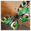 Cheap Oil Painting Style Butterfly Diy 5d Full Diamond Painting Kits UK QB5494