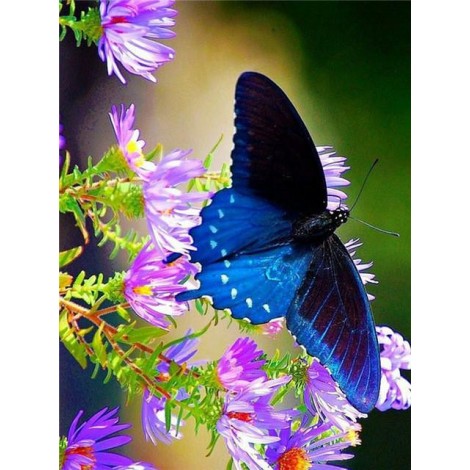 5d Embroidery Butterfly And Flowers Diy Diamond Painting Kits UK VM9021