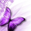 2019 Dream Lavender Butterfly Patterns Diamond Painting Kits UK VM7648