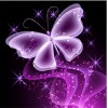 2019 Dream Beautiful Butterfly Picture 5d Diy Diamond Painting Kits UK VM7643