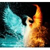 Full Square Drill Water Fire Phoenix 5D Diy Fantasy Diamond Painting Kits UK NA0076