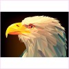 Animal Eagle 5d Diy Diamond Painting Kits UK KN80114