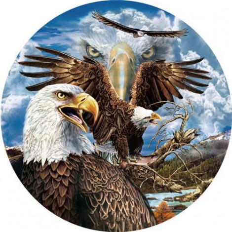 2019 Hot Sale Full Square Eagle Portrait 5d Diy Paintings of Diamonds UK VM1960