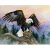 2019 Special Eagle Portrait 5d Diy Diamond Painting Full Kits UK VM8398