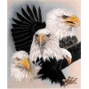 2019 New Animal Eagle Picture Wall Decor 5d Diy Diamond Painting Kits UK VM09521