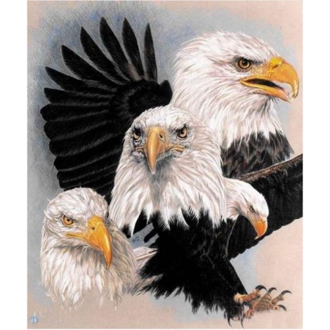 2019 New Animal Eagle Picture Wall Decor 5d Diy Diamond Painting Kits UK VM09521
