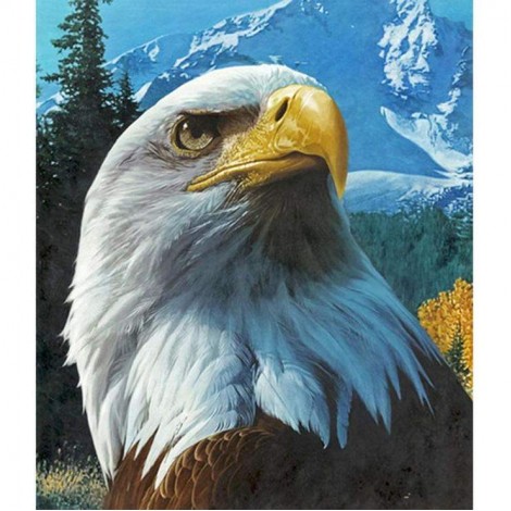 Popular Oil Painting Styles Cool Eagle Diamond Painting Kits UK Af9736