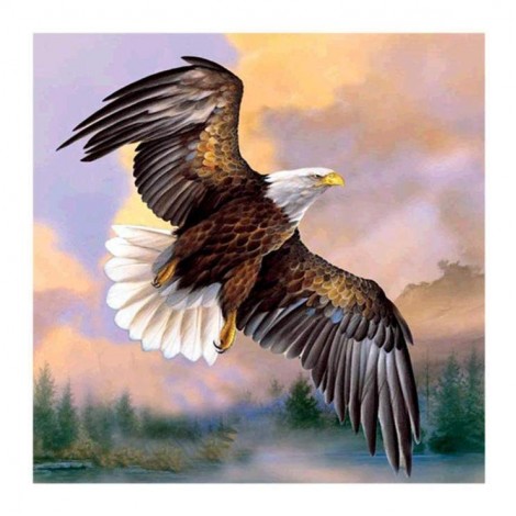 Popular Watercolor Eagle Flying Diamond Painting Kits UK Af9735