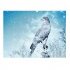 Dream Series Cold Forest Cool Eagle Diamond Painting Kits UK Af9744