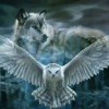 2019 Dream Full Square Wolf Eagle Portrait 5d Diy Painting Rhinestones UK VM1974
