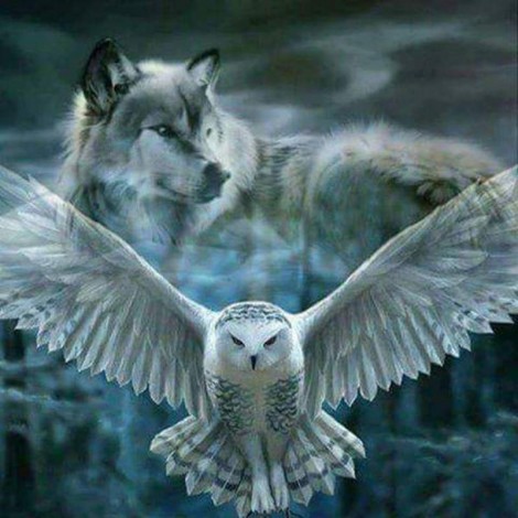 2019 Dream Full Square Wolf Eagle Portrait 5d Diy Painting Rhinestones UK VM1974