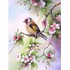 Birds Flowers Patterns Hot 2019 New 5d Diy Diamond Painting Kits UK VM9868