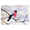 For Beginners Winter Bird 5d Diy Cross Stitch Diamond Painting Kits UK QB6455