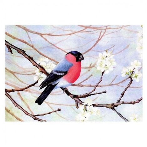 For Beginners Winter Bird 5d Diy Cross Stitch Diamond Painting Kits UK QB6455
