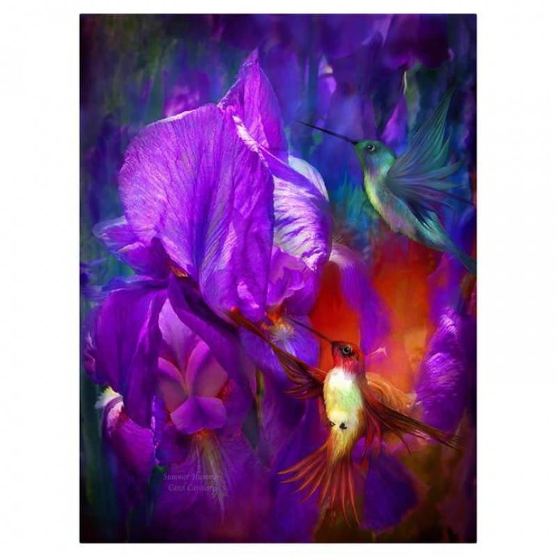 New Arrival Oil Pain...