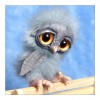 Lovely Naughty Cartoon Owl Diamond Painting Kits UK for kids AF9211