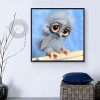 Lovely Naughty Cartoon Owl Diamond Painting Kits UK for kids AF9211