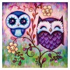 Full Drill 5D DIY Cartoon Diamond Painting lovely Owls VM90992