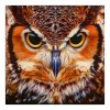Cheap Cool Owl Diamond Painting Kits UK For Kids AF9238