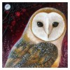 Popular Special Styles Owl Diamond Painting Kits UK AF9231