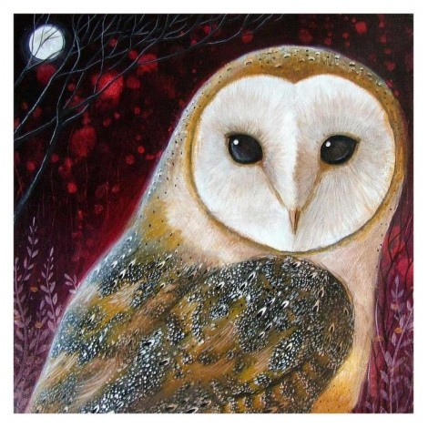 Popular Special Styles Owl Diamond Painting Kits UK AF9231