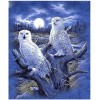 Winter 5D DIY Diamond Painting Animal Owl VM92382