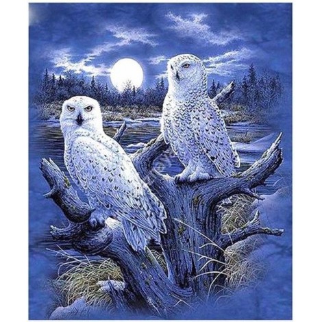 Winter 5D DIY Diamond Painting Animal Owl VM92382