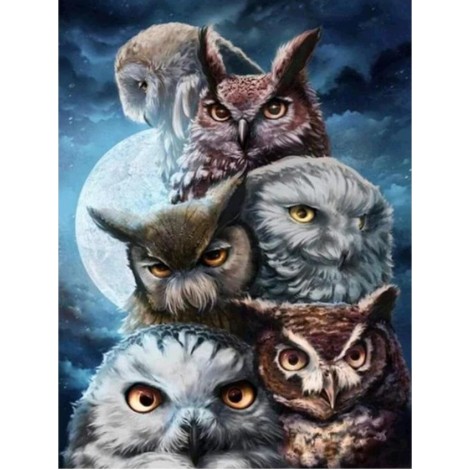 Popular Oil Painting Styles Wall Decoration Owls Diamond Painting Kits UK AF9256