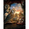Owl Kingdom Full Drill 5D DIY Diamond Painting Kits UK VM92195