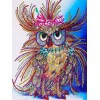 Hot Sale Lovely Colorful Owl Diamond Painting Kits UK AF9273