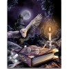 2019 New Hot Sale Magic Owl Home Decor 5d DIY Diamond Painting Kits UK VM8180