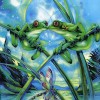 Cartoon Full Drill 5D Diy Cross Stitch Diamond Painting Kits UK Frog NA0116