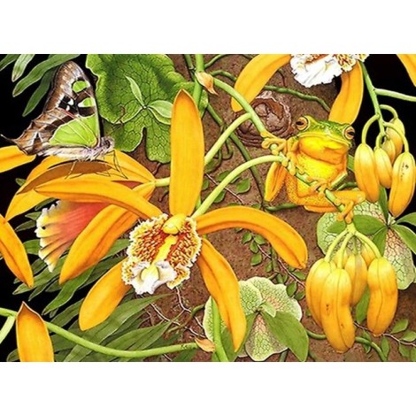 Full Drill 5D Diy Oil Painting Style Stitch Diamond Painting Kits UK Frog NA01255