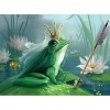 2019 Full Drill 5D Diy Fantasy Cross Stitch Diamond Painting Kits UK Frog NA0127